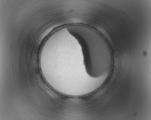 X0000115171023200911251329