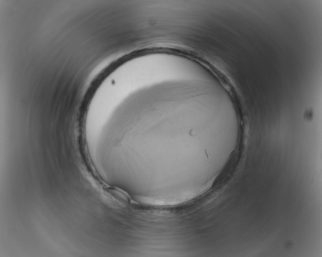 X0000115171024200911251329