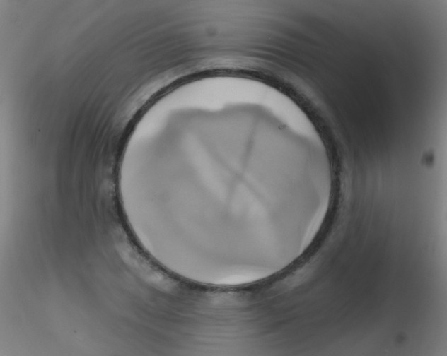 X0000115171025200911251329