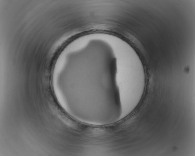 X0000115171027200911251329