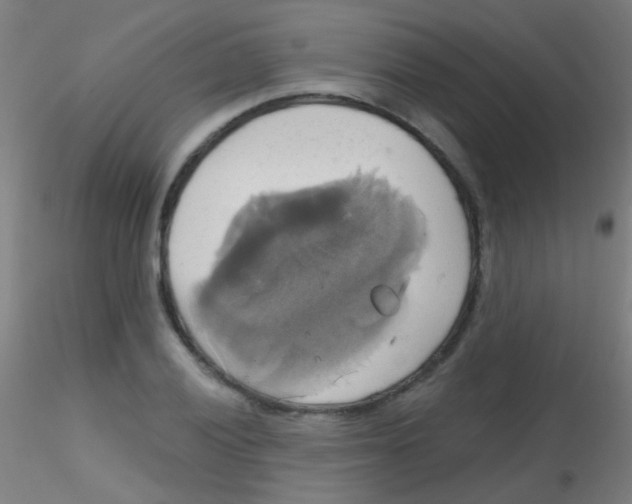 X0000115171028200911251329