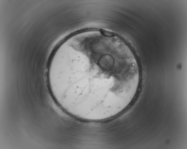 X0000115171029200911251329