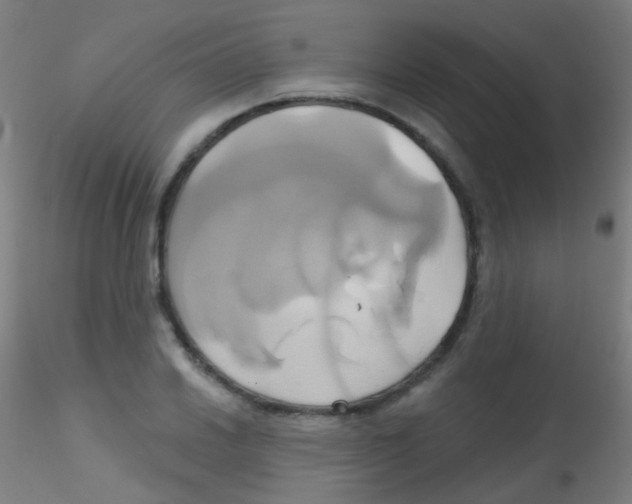 X0000115171030200911251329