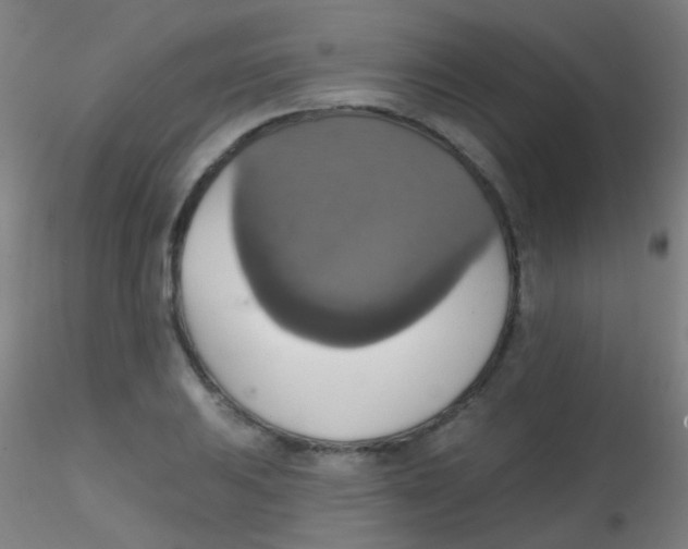 X0000115171031200911251329