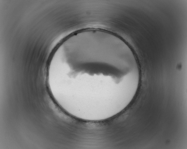 X0000115171032200911251329