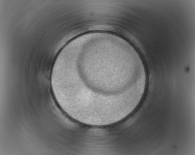 X0000115171033200911251329