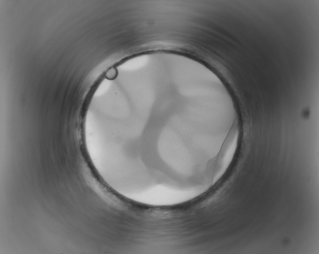 X0000115171034200911251329