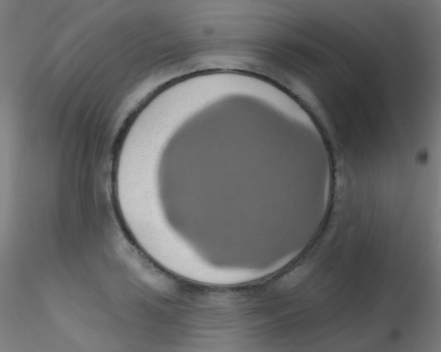 X0000115171035200911251329