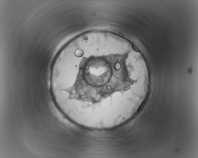 X0000115171036200911251329