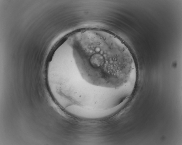 X0000115171037200911251329