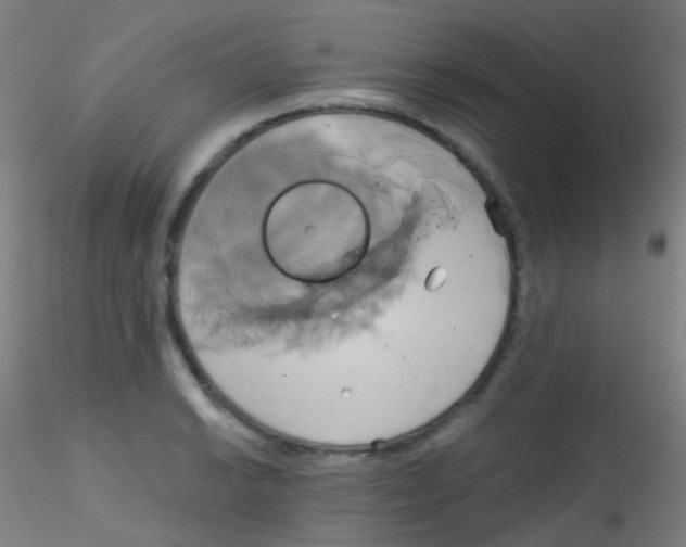 X0000115171038200911251329