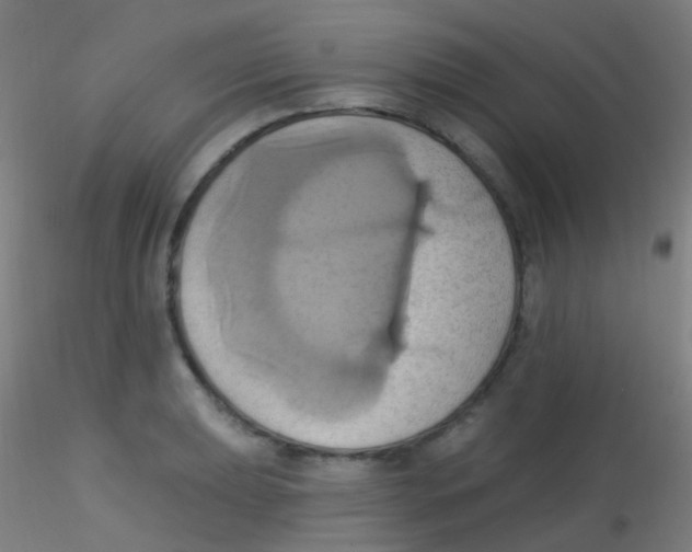 X0000115171039200911251329