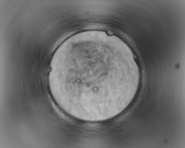 X0000115171041200911251329