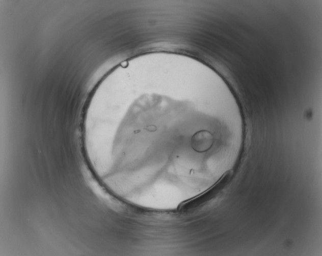 X0000115171042200911251329