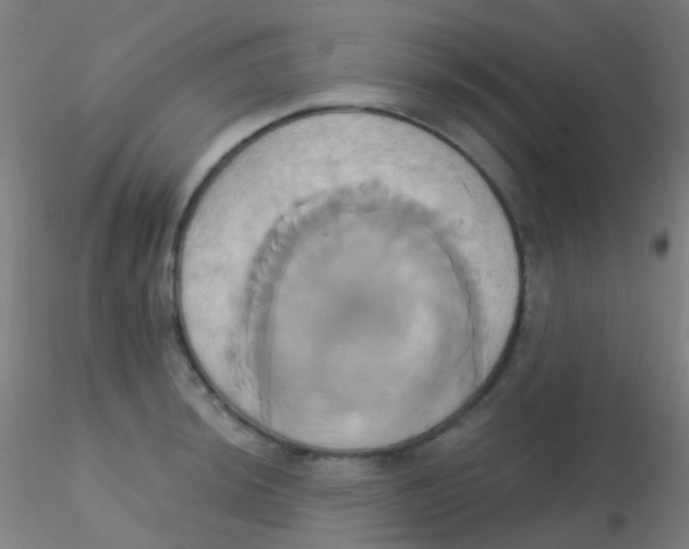 X0000115171044200911251329