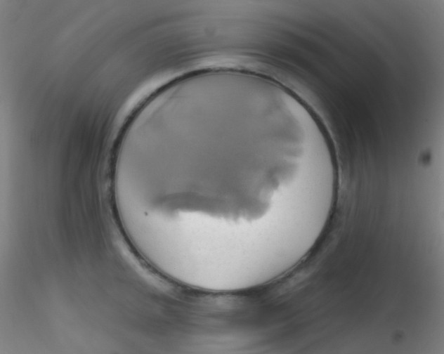 X0000115171045200911251329