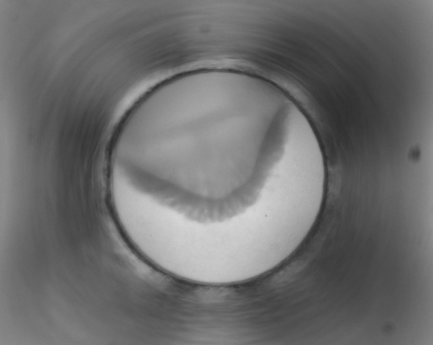 X0000115171046200911251329