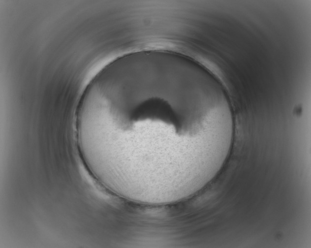 X0000115171047200911251329