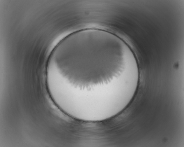 X0000115171048200911251329