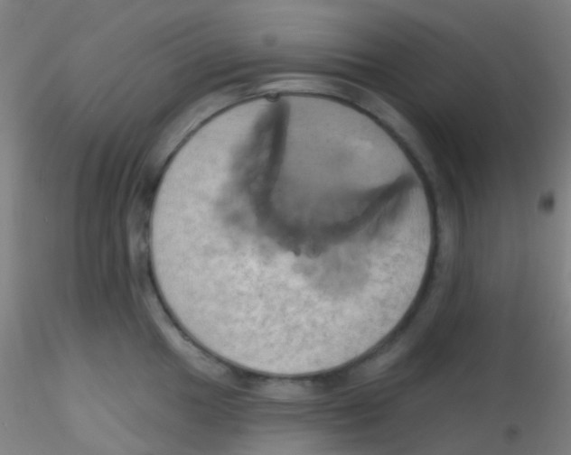 X0000115171049200911251329