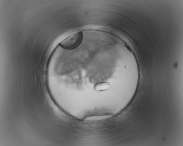 X0000115171050200911251329