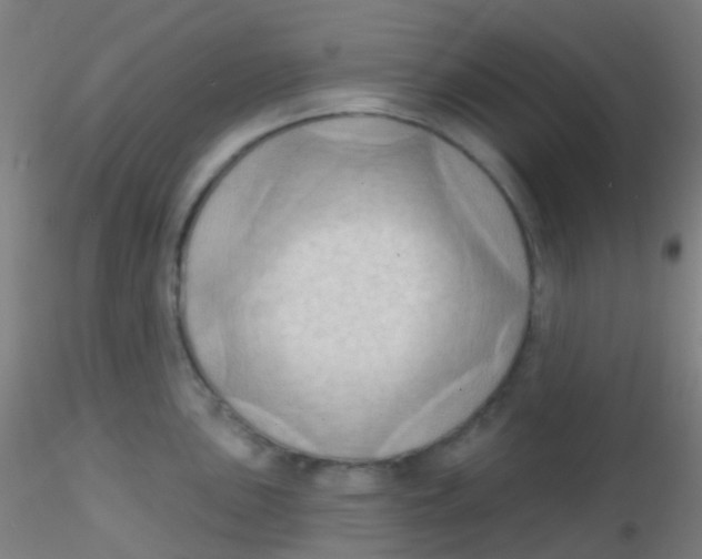 X0000115171051200911251329