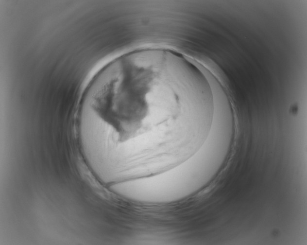 X0000115171052200911251329