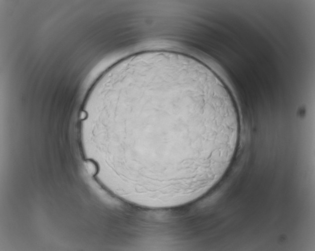 X0000115171053200911251329