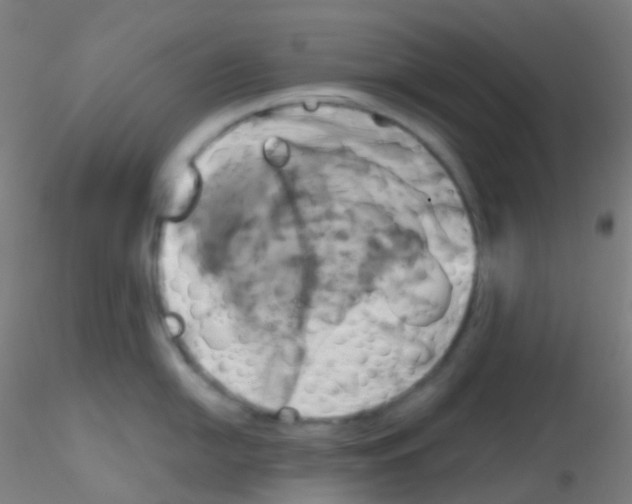 X0000115171054200911251329