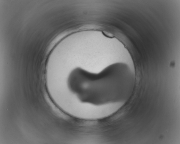 X0000115171055200911251329