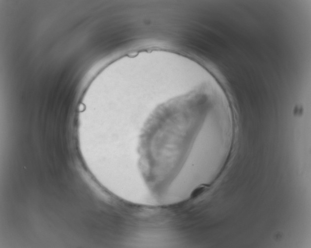 X0000115171056200911251329