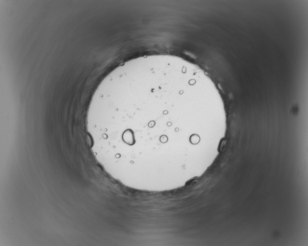 X0000115171057200911251329