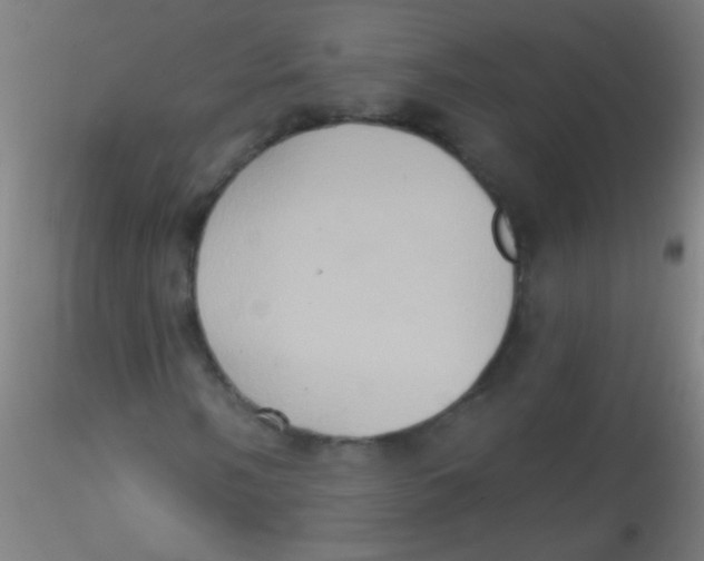 X0000115171058200911251329