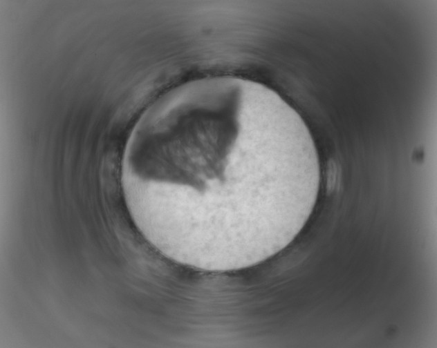 X0000115171059200911251329