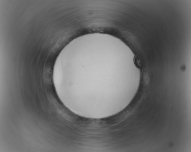 X0000115171060200911251329