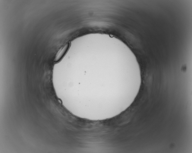 X0000115171061200911251329