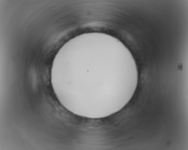 X0000115171062200911251329