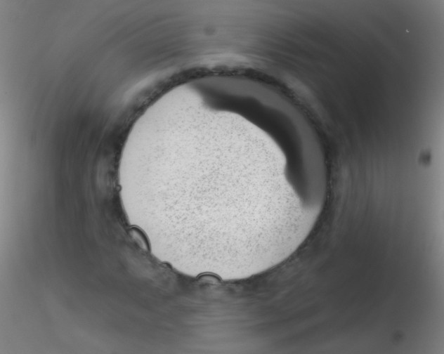 X0000115171063200911251329