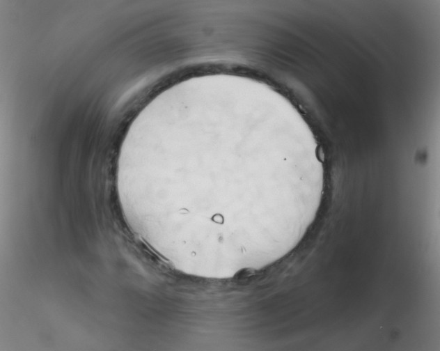 X0000115171064200911251329