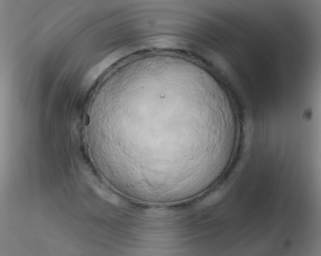 X0000115171065200911251329