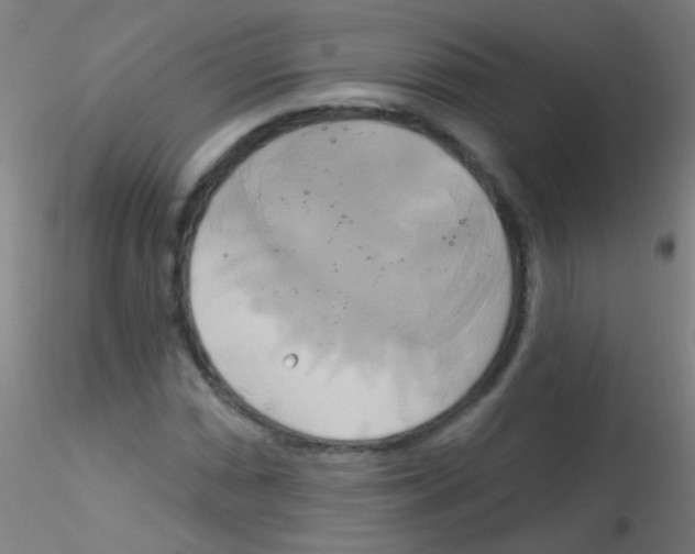 X0000115171066200911251329