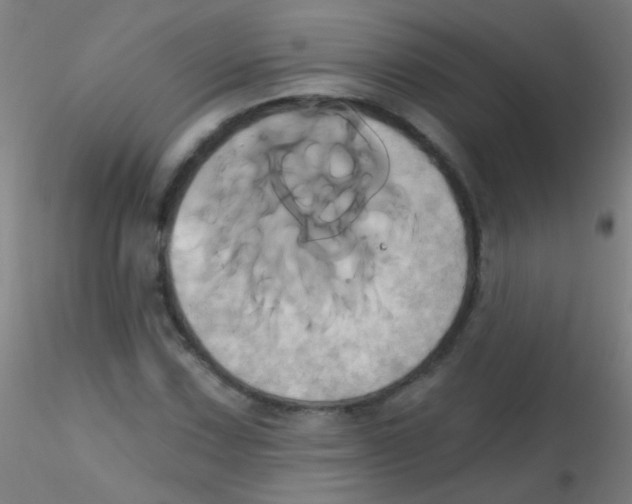 X0000115171067200911251329