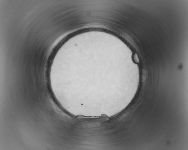 X0000115171068200911251329