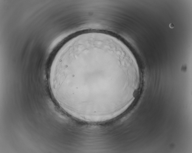 X0000115171070200911251329