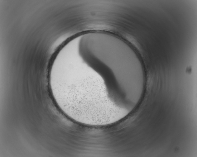 X0000115171071200911251328