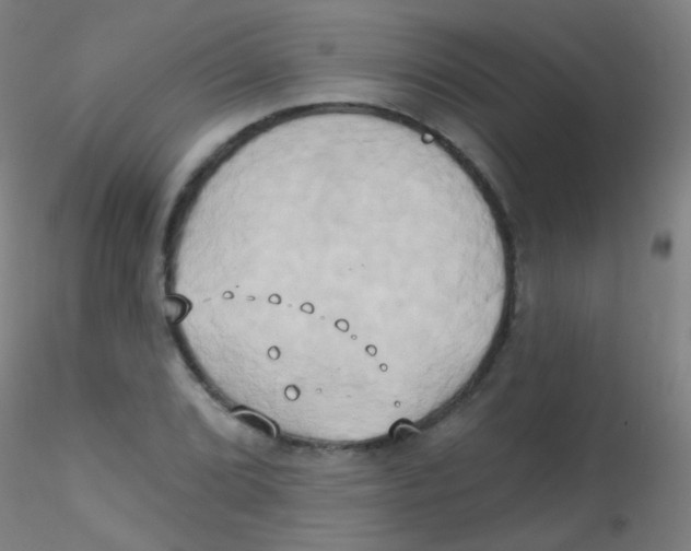 X0000115171072200911251328