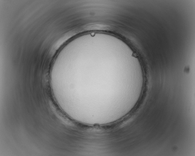 X0000115171073200911251328