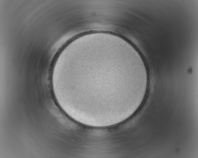 X0000115171074200911251328