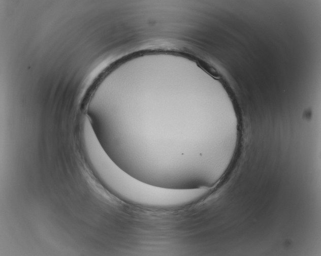 X0000115171075200911251328