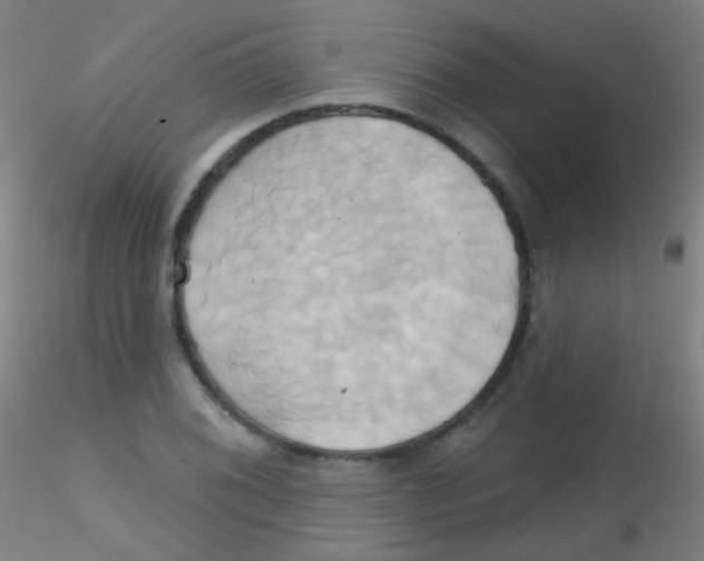 X0000115171076200911251328